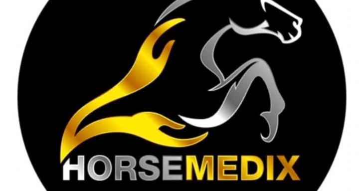 Karina Lewis Horsemedix 