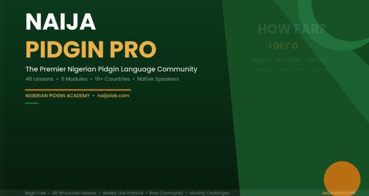 Naija Pidgin Pro