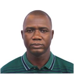Hamid M Thoronka