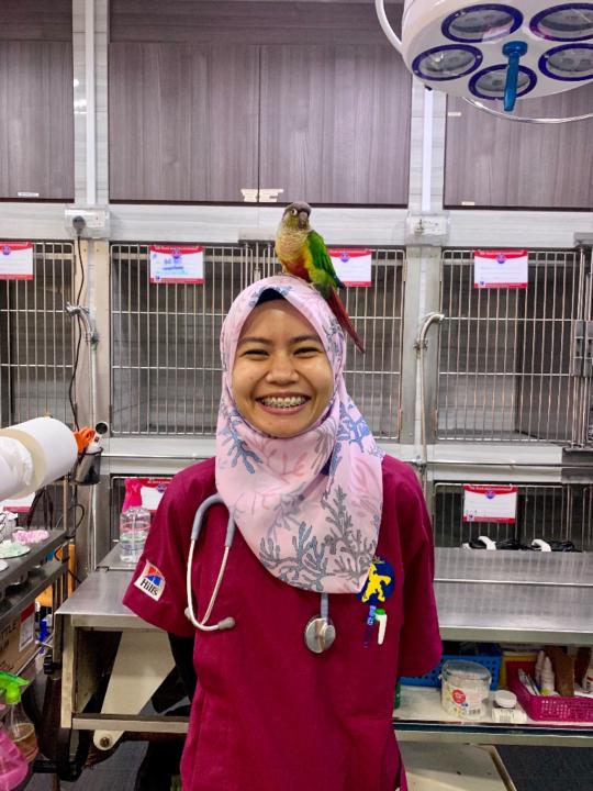 Nor Ainatul Asyila Jamil