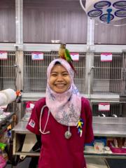 Nor Ainatul Asyila Jamil