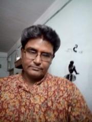 Himadri Sekhar Ray