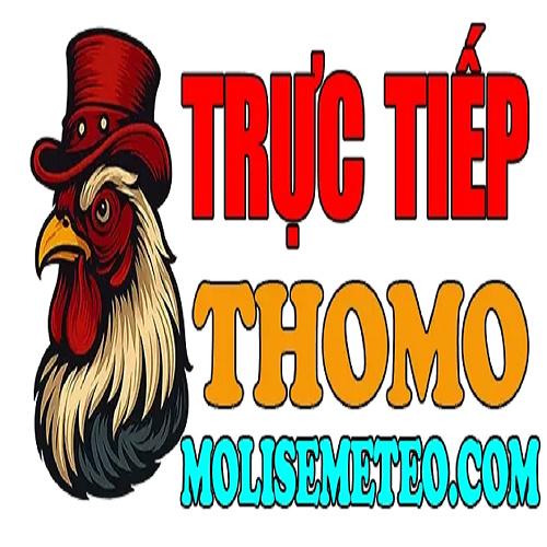 Đá gà trực tiếp Thomo hôm nay