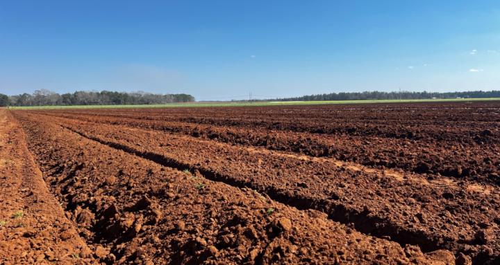 Running K Farming and Ranching