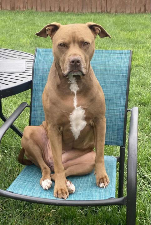 Newbie saying Hi & a little introduction