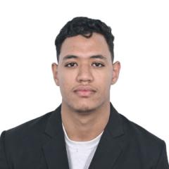 Anas Elmobariki