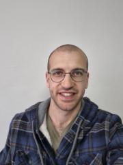 Irad Lavi