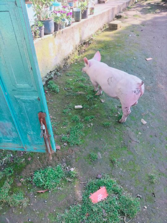 Mayrani Gonzalez arcos