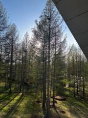 Erdenemurun Myagmarsuren