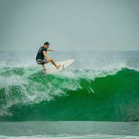 Andrew Cox