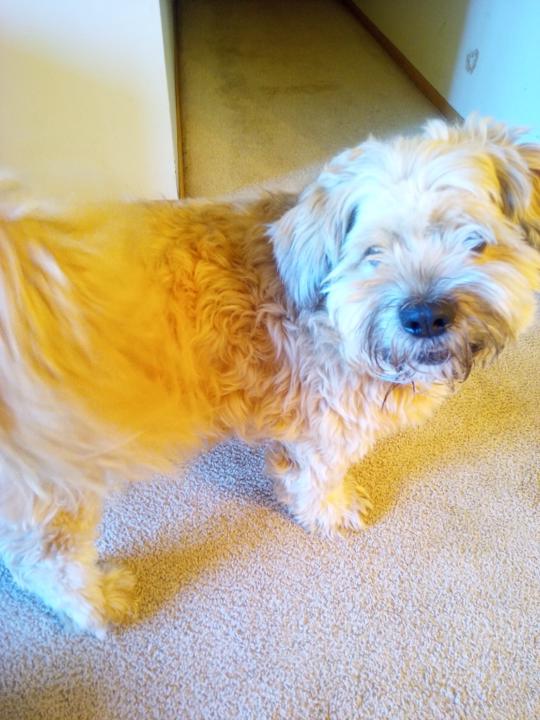 Robert Duhaime