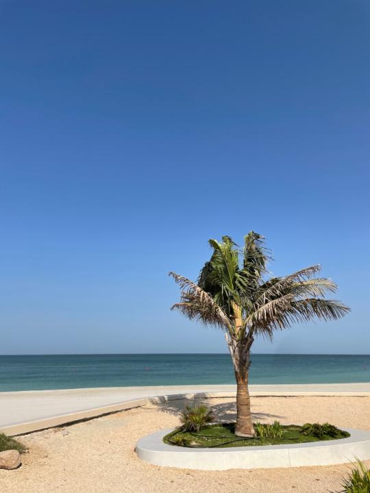 Arwa Ben rejeb