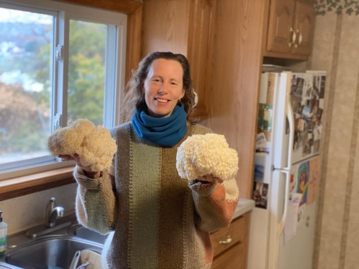 Calling All Medicinal mushroom enthusiasts