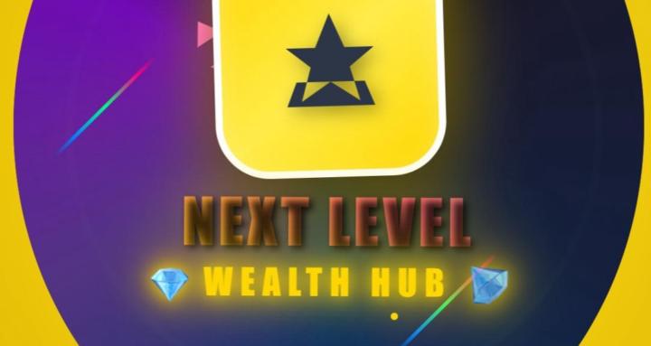 Next Level Wealth Hub