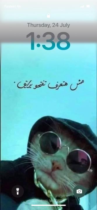 Mariam Shaaban