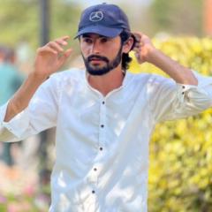 Zulfqar Ali