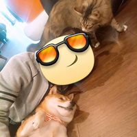 翰傑 尤