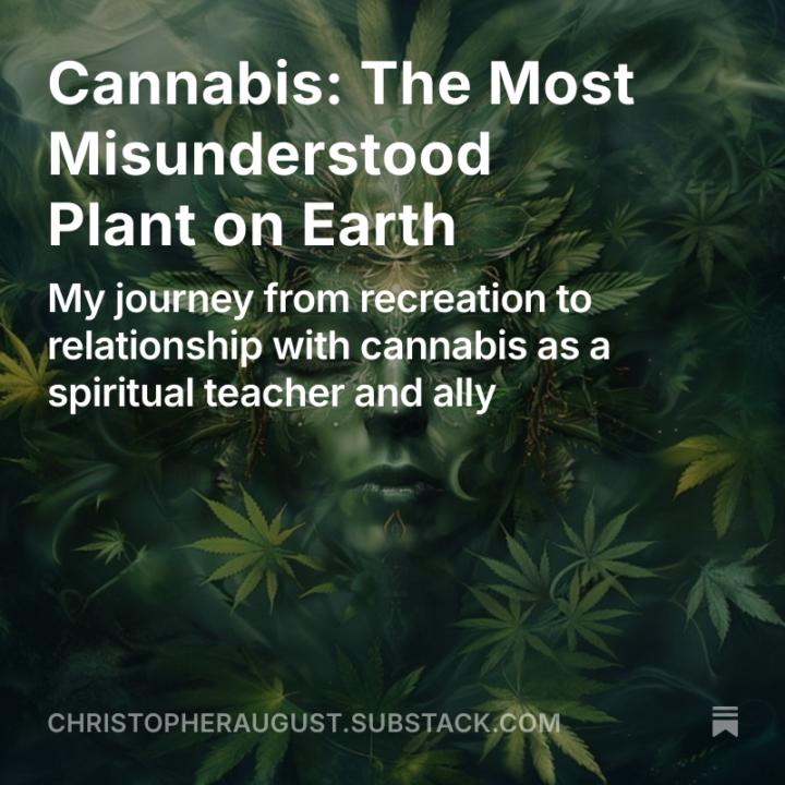 Cannabis: The Most Misunderstood Plant On Earth