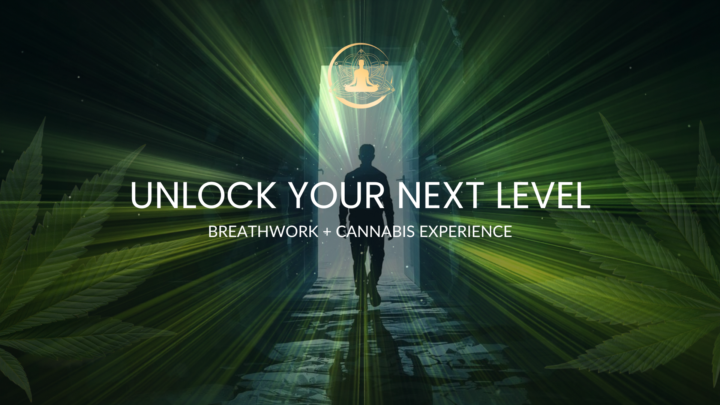 Next level Replay Now Available 