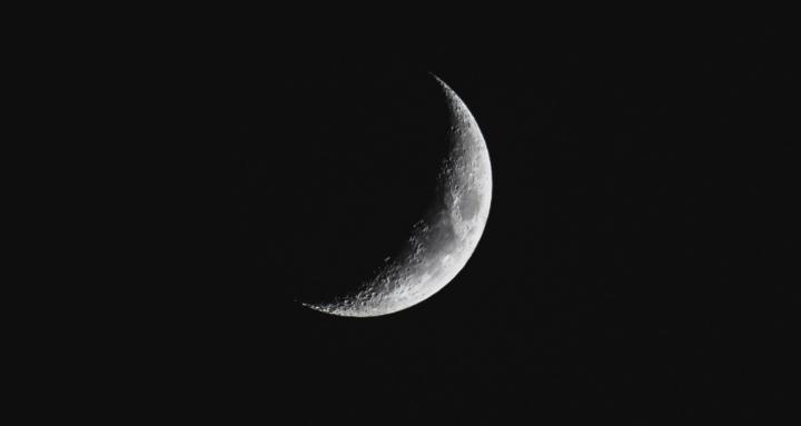 Moon Tribe