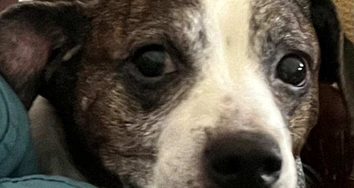 I do pretty much everything