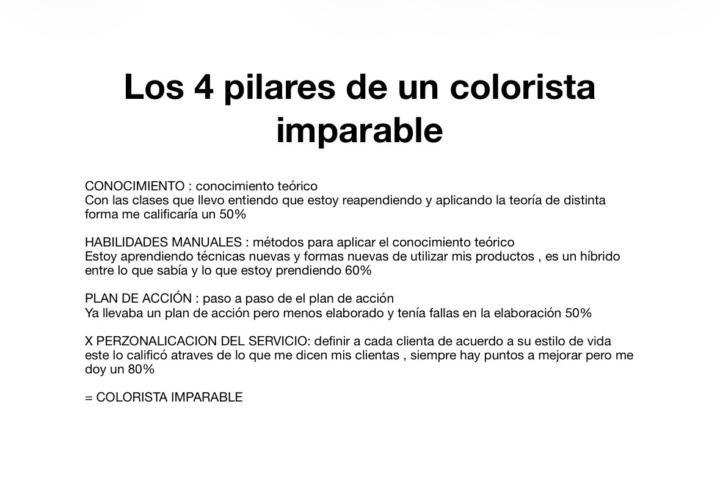 Los 4 pilares de colorista imparable 