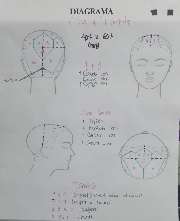 Diagramas Sal y Pimienta