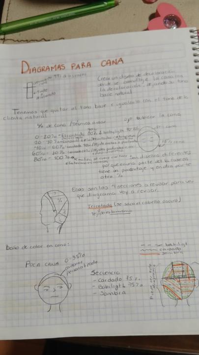 Diagrama de canas