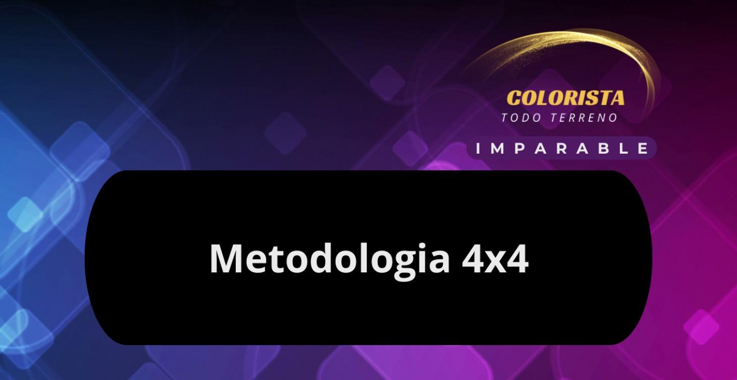 Metodologia 4x4