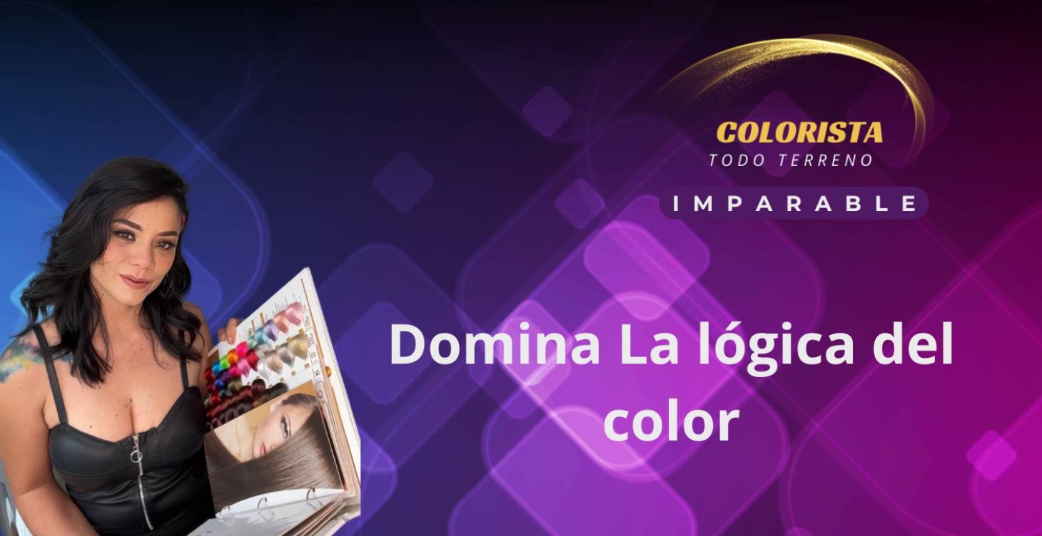 Curso: Domina La Lógica del color