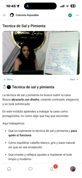 Técnica sal y pimienta 