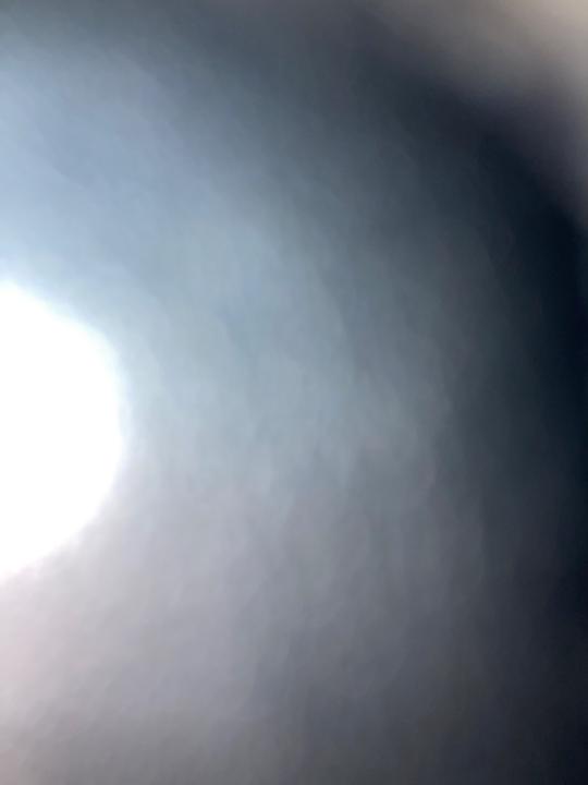 F L