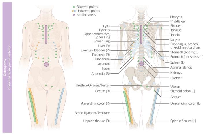 LYMPH!