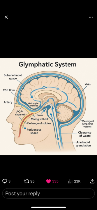 GLYMPH