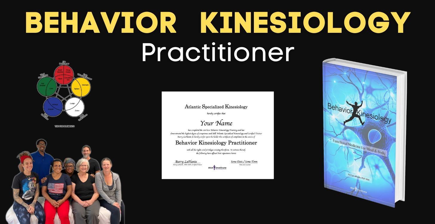 Behavior Kinesiology Practitioner Certification