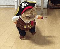 Arrr ... I'm 'ere for de treasure! 