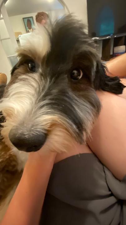 Michael Christoforetti