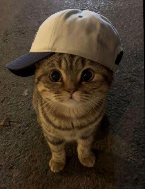 Bittu Yt