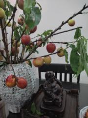 Lê Lộc