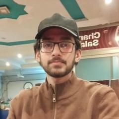 Hamza Sajjad C