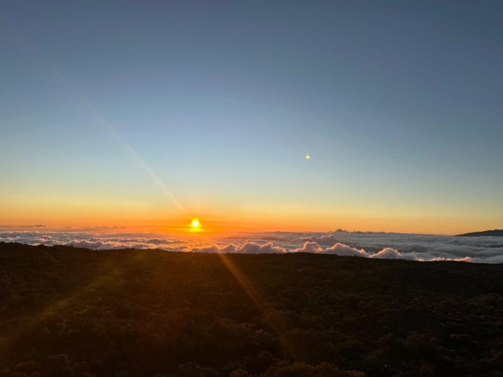 EmpireDigital Steffy