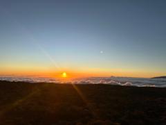 EmpireDigital Steffy