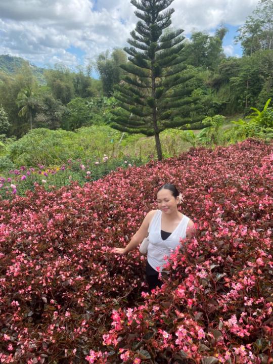 Frizzian Angel Catiil