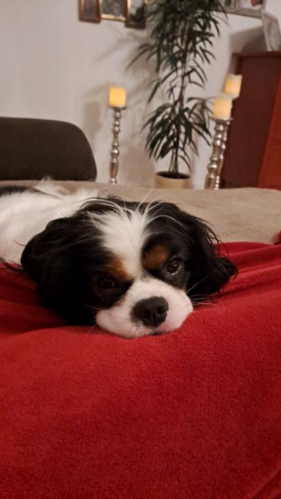 Mario Heilingbrunner