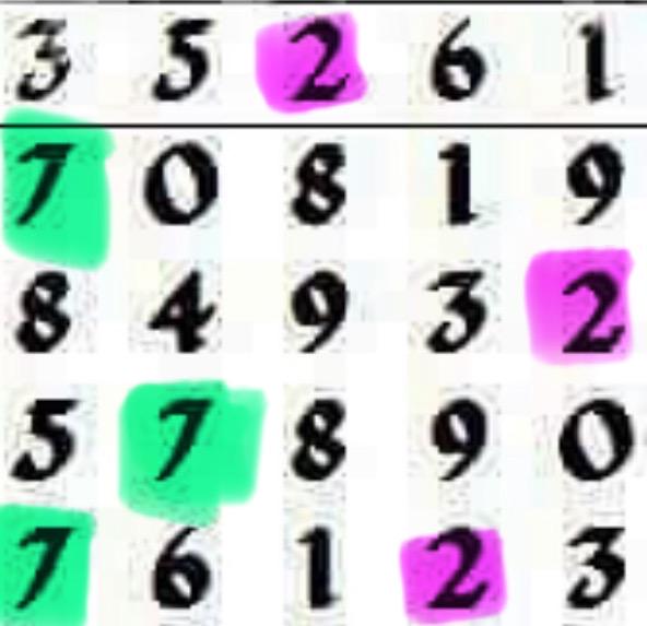 Nite grid 