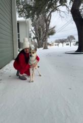 Teresa livinnia Gonzalez sardua