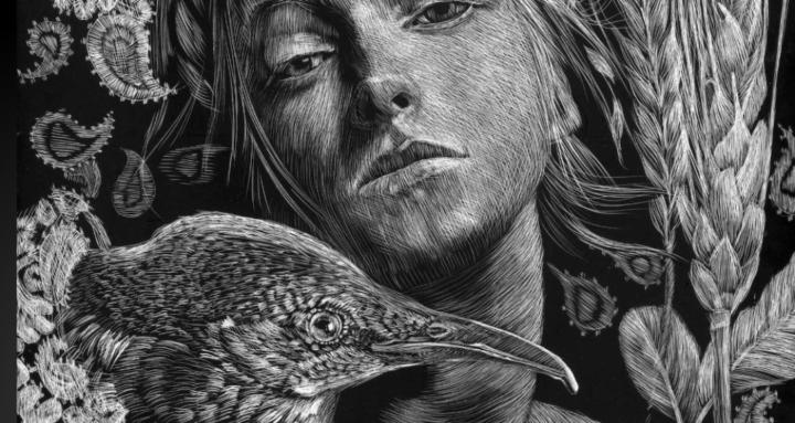 Drawn to Art
