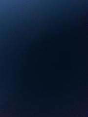 Remy Trinh