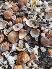 Ana Belén Asín Ainoza