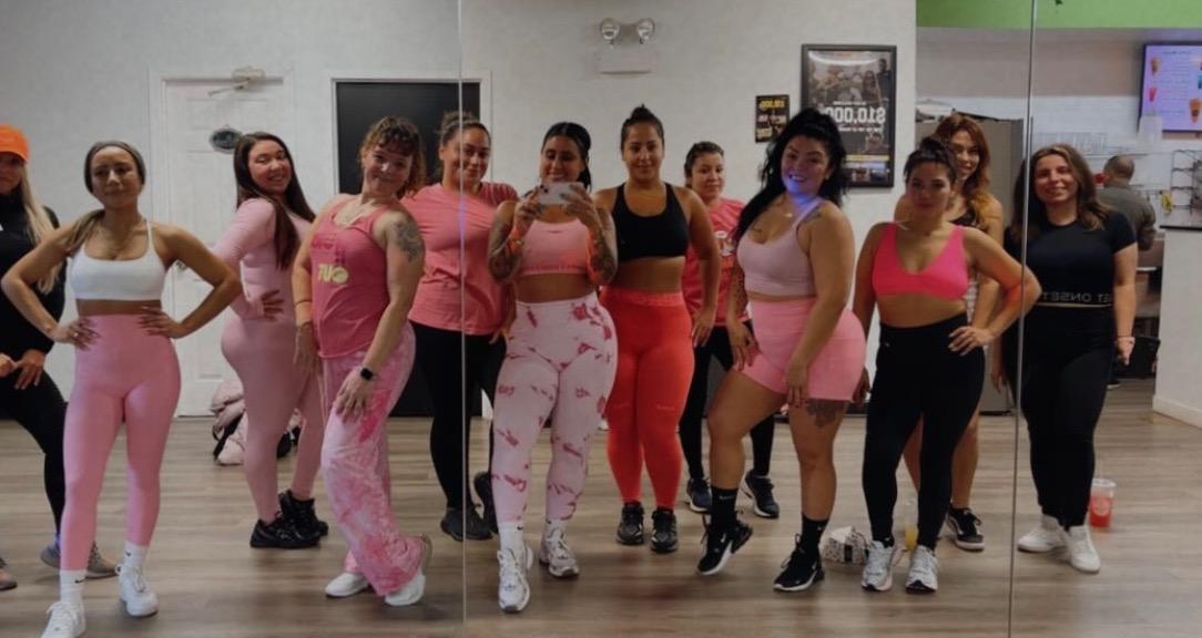 Sleek Fitness & Health babes